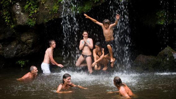 Big Island: Full-Day Kohala Zipline and Waterfall Adventure