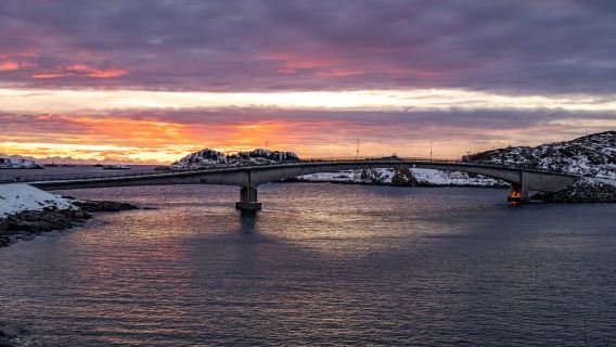 Lofoten: Half-Day Guided Tour with local guide Photo Stops