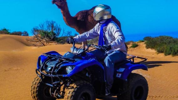Quad e giro in cammello: il brivido incontra la tradizione