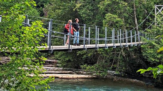 Уистлер: Утро с медведями. Экскурсия на Land Rover Scenic Excursion