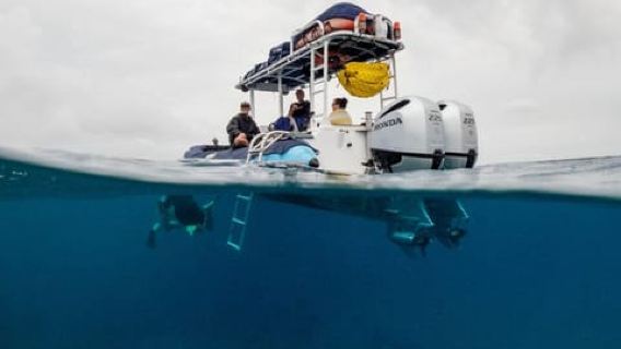 Wailea-Makina: Sea Caves, Molokini Snorkel & Turtle Town