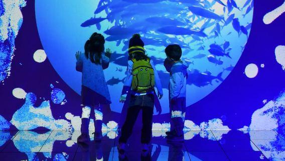Toronto: Buono per le mostre speciali del Royal Ontario Museum