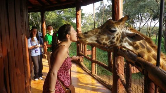 Nairobi: Taman Nasional, Suaka Gajah, & Pusat Jerapah