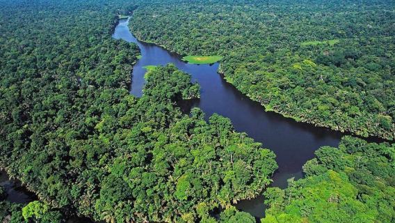 Tortuguero: Tour en el cerro Tortuguero (volcán inactivo)