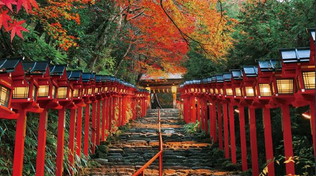 【大阪京都一日遊丨9-13小團】南禪寺&三千院&貴船神社巡遊