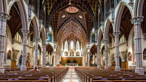 Chicago private charter 1-day tour: Holy Name Cathedral + Millennium Park + Cloud Gate + Grant Park