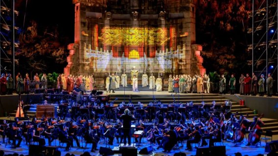 2025 Nanjing Forest Concert + Nanjing Presidential Palace + Niushou Mountain private chartered 1-day tour