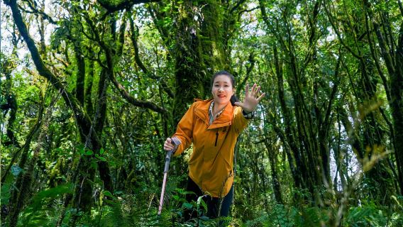 高黎貢山阿祖姆侏羅紀原始森林9公里徒步一日遊(毛毛球+瀑布)