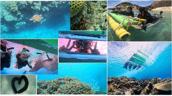 日本渡嘉敷島+渡嘉志久ビーチ水中写真シュノーケリング1時間【ボードシュノーケルツアー】