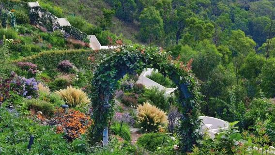 Dali, Yunnan - Historical and Cultural Tour with Live Guide|Guide/local guide/translator