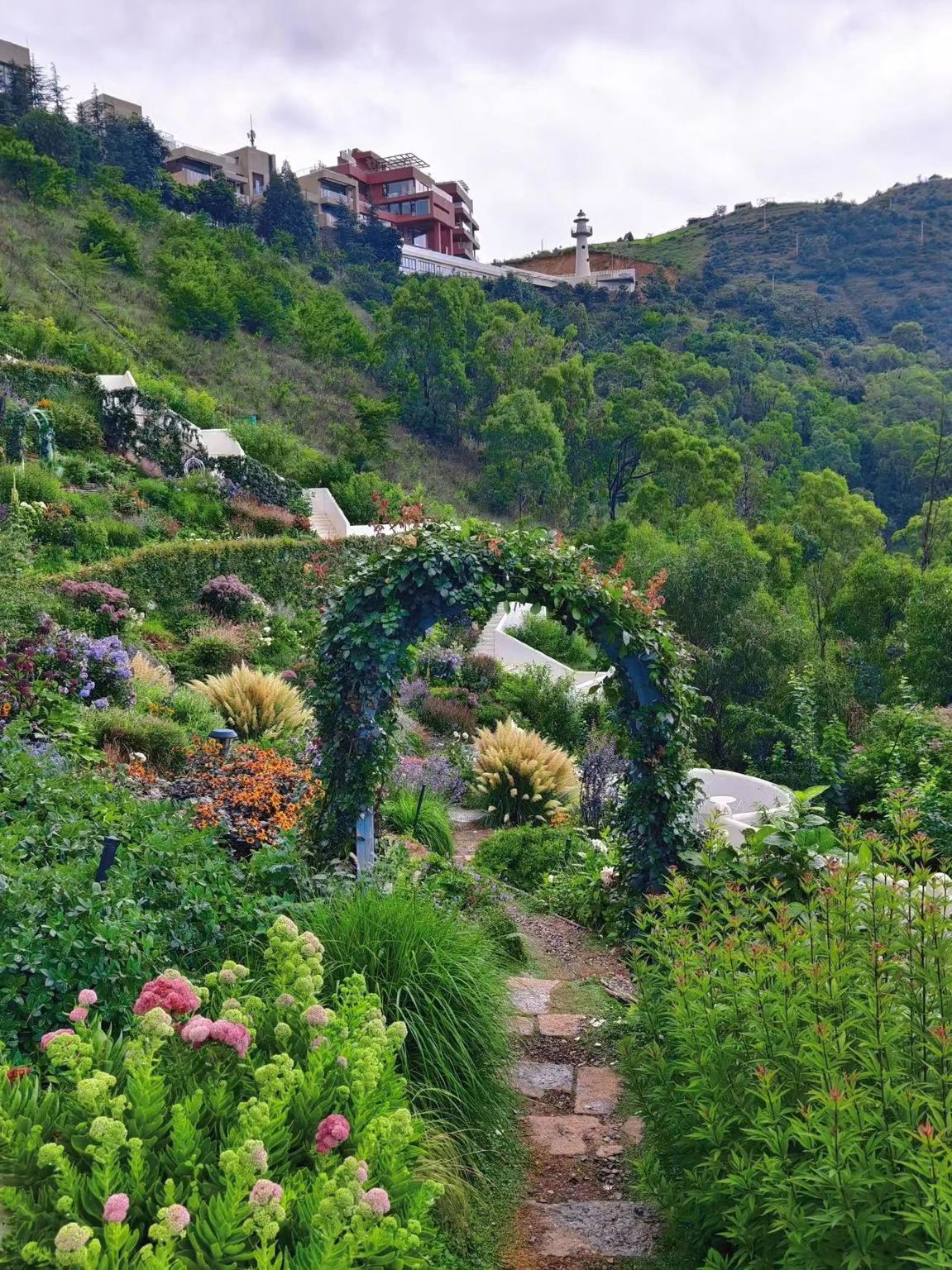 Dali, Yunnan - Historical and Cultural Tour with Live Guide|Guide/local guide/translator