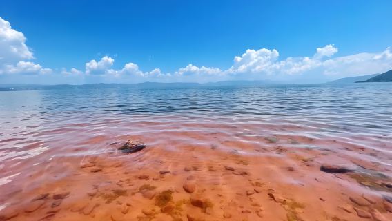 Yunnan Must-See: Fuxian Lake Day Tour (Chinese Group Tour) with Comfortable Bus and Boat Cruise