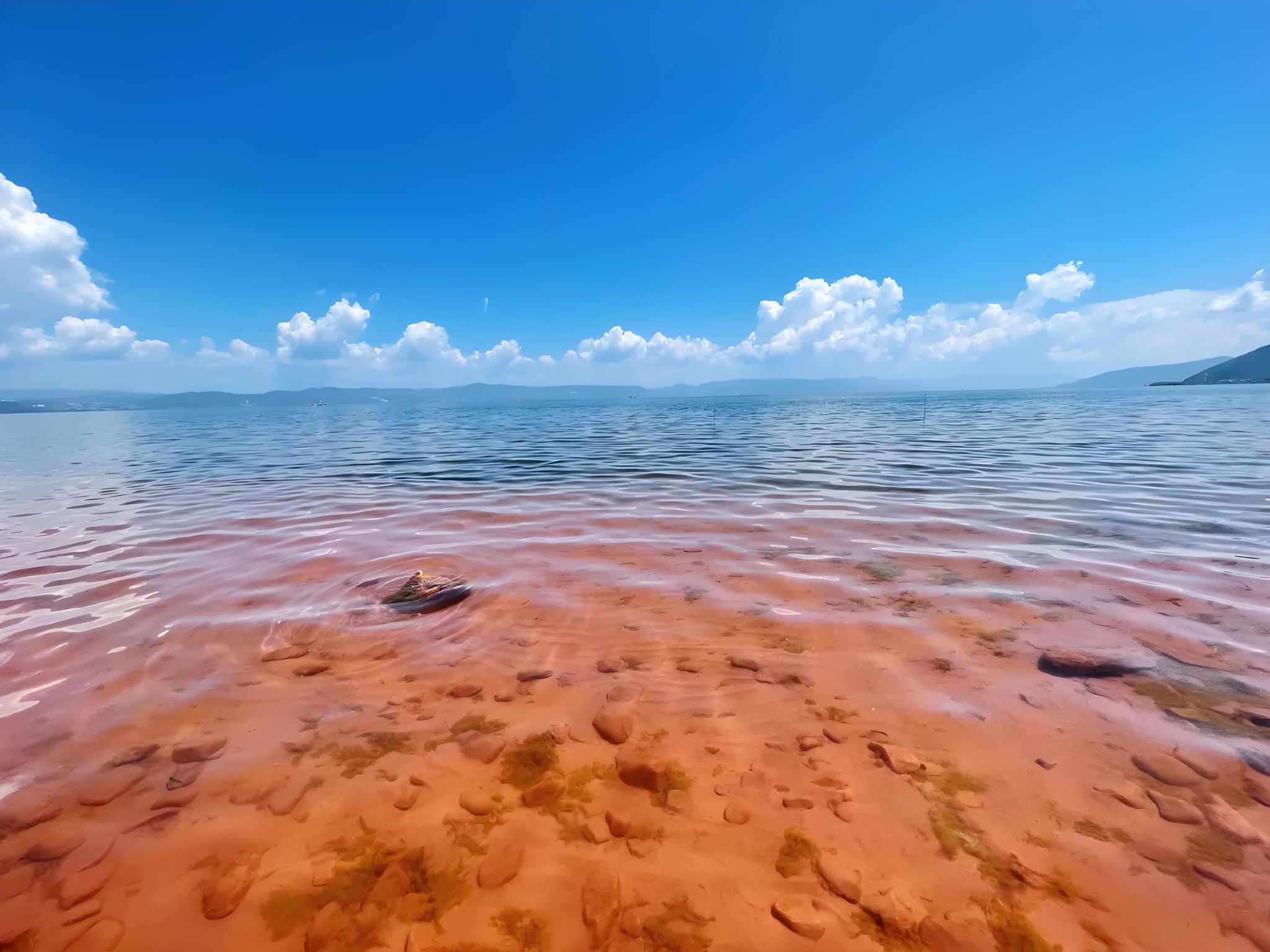 Yunnan Must-See: Fuxian Lake Day Tour (Chinese Group Tour) with Comfortable Bus and Boat Cruise