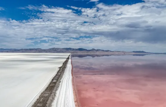 美國鹽湖城--聖殿廣場-紅丘花園  - 中文司導+ 行程可調