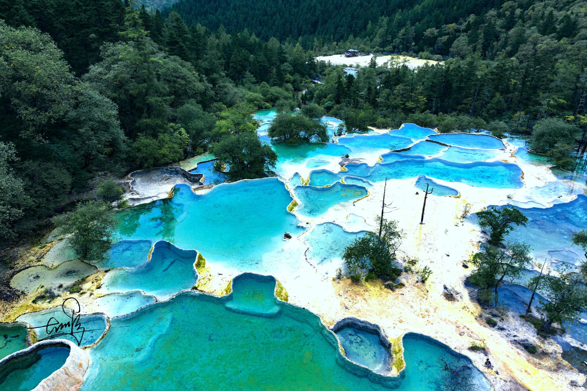 [รถบัสรับส่งตรงไปยังพื้นที่ชมวิวจิ่วไจ้โกว-หวงหลง + ตั๋ว] บริการรถบัสรับส่งตรงไปยังพื้นที่ชมวิวแห่งเดียว มีรถบัสให้เลือกหลายแบบ