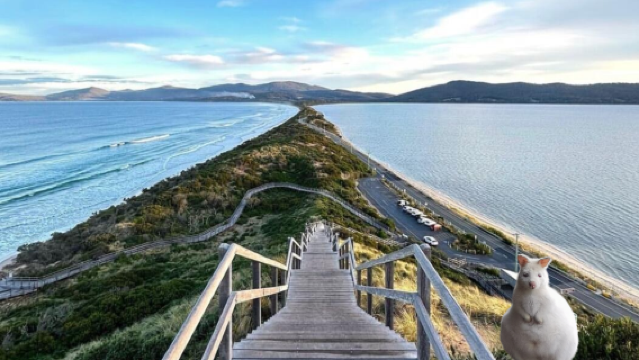 lawatan sehari ke Bruny Island, Tasmania dengan pengangkutan dari pintu ke pintu|Perkhidmatan Bahasa Cina|Pelancongan Keliling Pulau
