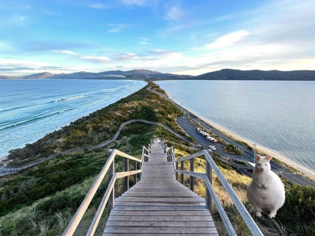 塔斯馬尼亞布魯尼島一日遊「上門接駁」|中文服務|環島遊