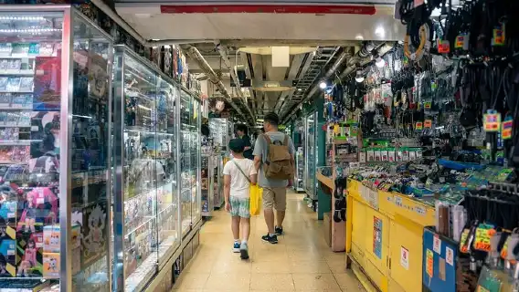 Akihabara Anime & Gaming Adventure Walking Tour