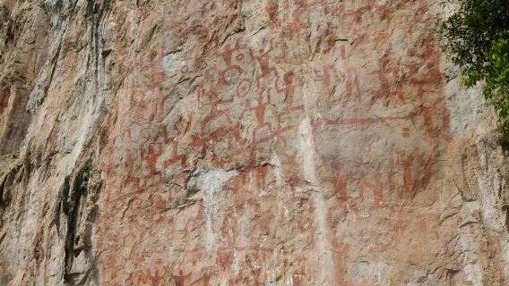 Lawatan sehari ke Tarikan Pelancongan Pintu Persahabatan Chongzuo + Tarikan Pelancongan Lukisan Batu Gunung Hua Kaunti Ningming + Bandar Purba Taiping dengan perkhidmatan bahasa Inggeris