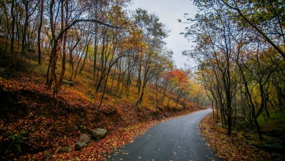 南京六合止馬嶺森林公園賞秋一日遊