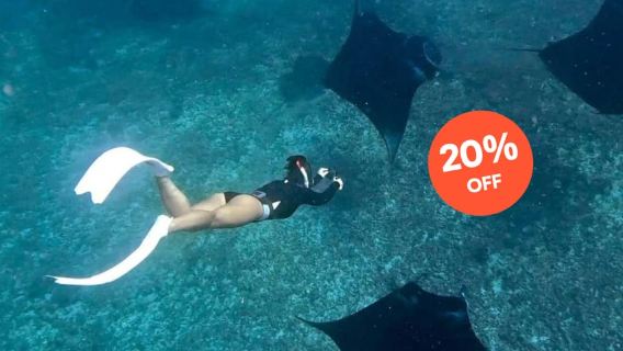 Dari Bali: Snorkeling di Manta Point Nusa Penida & Tur Darat
