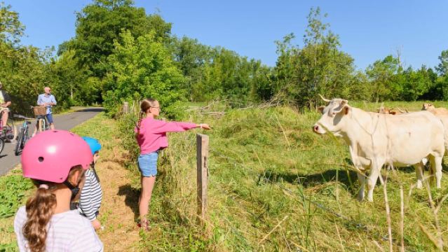 Marais Poitevin : Échappée à vélo dans la Venise Verte