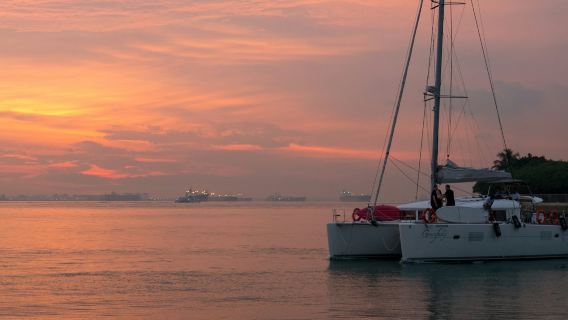 Singapore: Cruise from Sentosa with Paddle Boarding or Kayaking