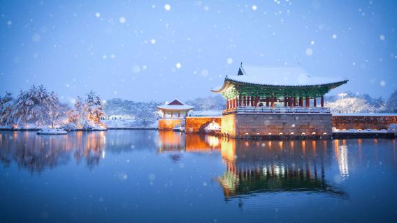 Gyeongju Unesco World Heritage Site + Sky Capsule Day Tour (From Busan)