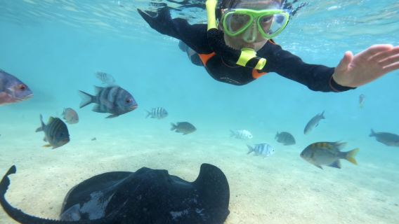 陵水分界洲島+分界洲島潛水體驗潛水浮潛2小時【陵水魔鬼魚專業浮潛 教練1對4小團制 送拍攝 不擁擠體驗好】