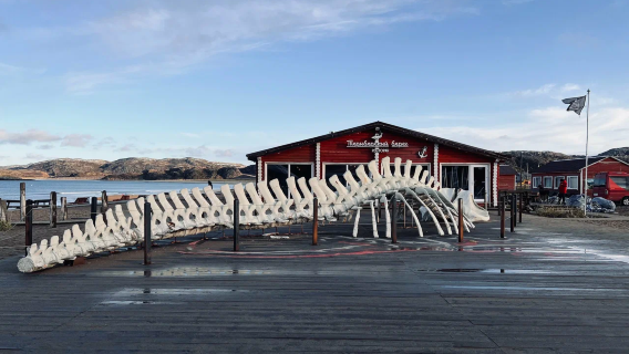 Новая и старая Териберка: панорамный тур, чтобы в полной мере ощутить поэзию деревни на берегу Северного Ледовитого океана.