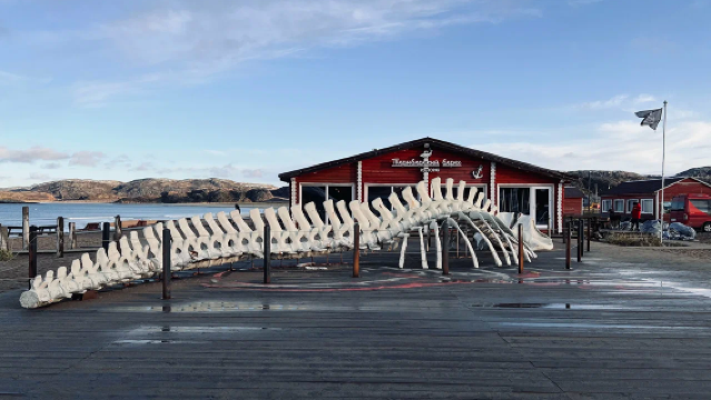 Новая и старая Териберка: панорамный тур, чтобы в полной мере ощутить поэзию деревни на берегу Северного Ледовитого океана.