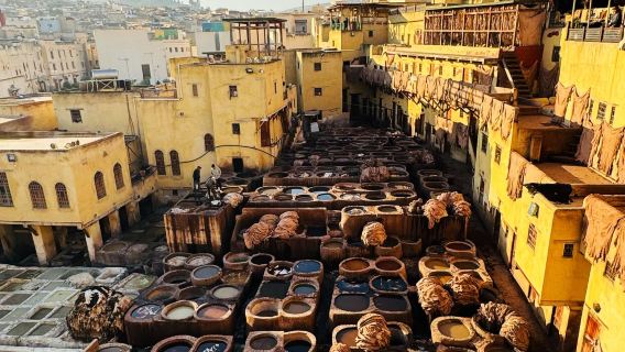 摩洛哥&菲斯老城到羅馬遺跡【專屬包車一日遊】