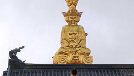 Departing from Chengdu - Watch Monkeys at Mount Emei + Sunset Viewing at Emeishan|Golden Summit 1-Day Private Charter Tour