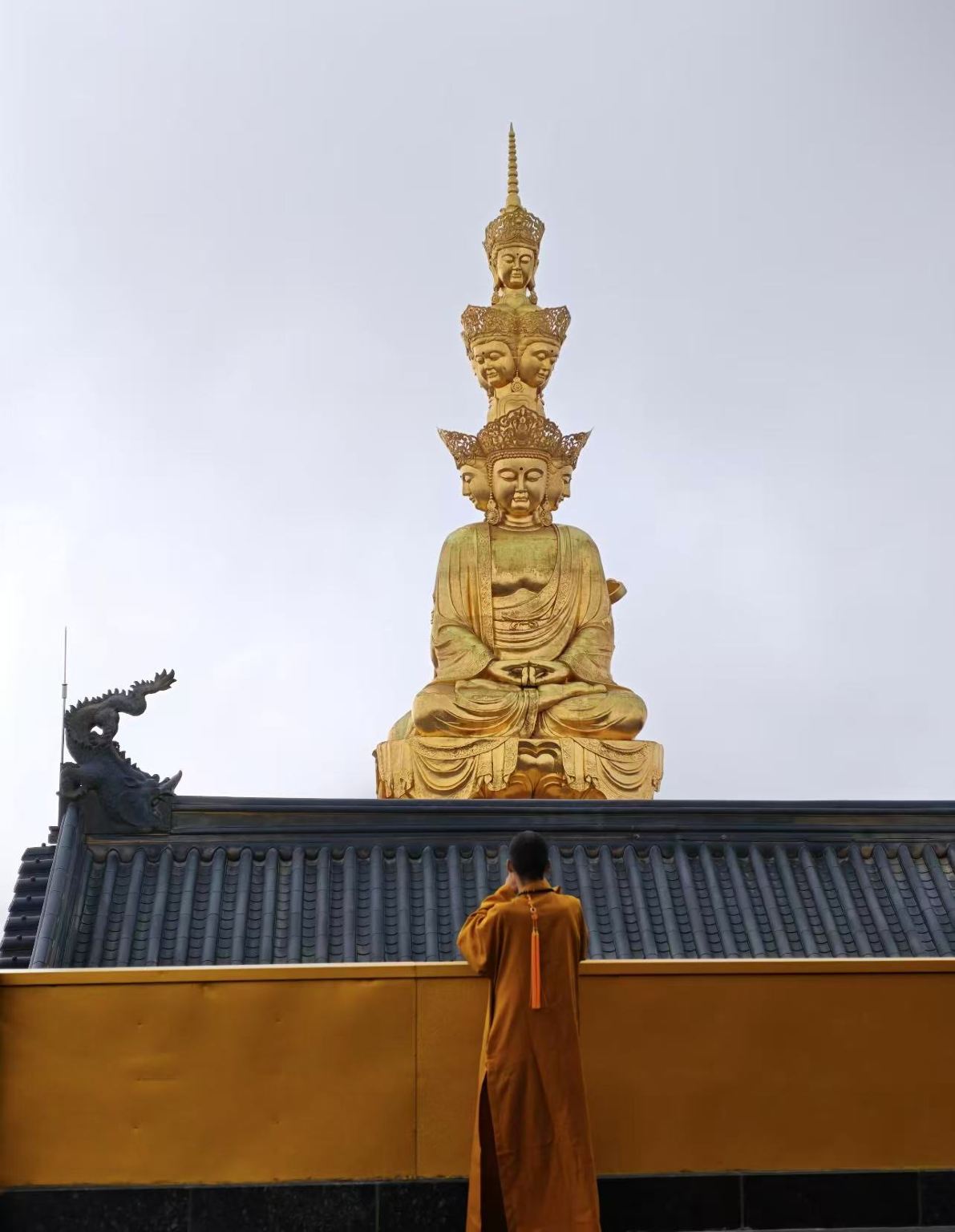Ab Chengdu - Affen beobachten am Berg Emei und Sonnenuntergang am Emeishan|Gipfel des Goldenen Dachs] Privattransfer-Tagesausflug