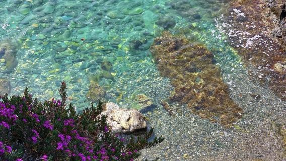 西班牙卡達克斯+赫羅納【地中海小鎮+權遊取景地+定制包車】