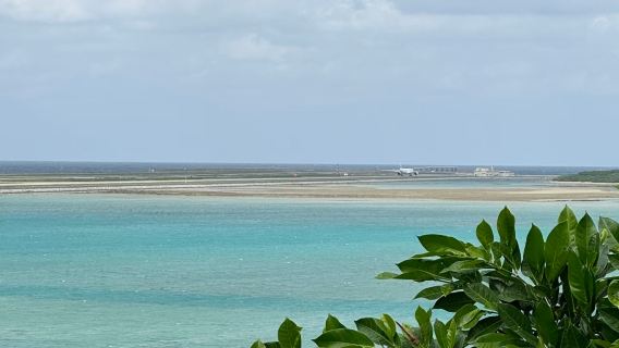 Ishimi Fishery Market||Obsession Cape Park|Senaga Island|Chinese private charter|Family 1-day tour