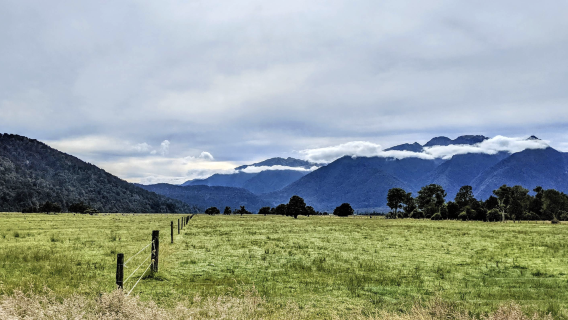 紐西蘭奧克蘭-藍泉一日遊-可定制【中文專車-愜意舒適】