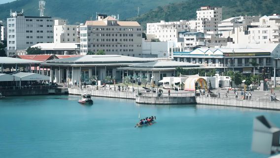 Excursión de un día en Mauricio: Port Louis + Montaña de la Ciudadela + Bahía Azul con servicio de coche privado con conductor en inglés