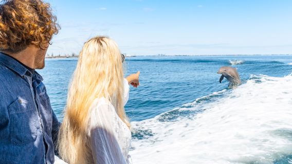 Rockingham Wild Dolphin Swim and Snorkel Experience (Optional Perth Transfers)