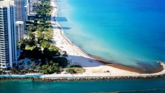 美國邁阿密-第八區-海灣公園-溫尼伍德牆-包車私享