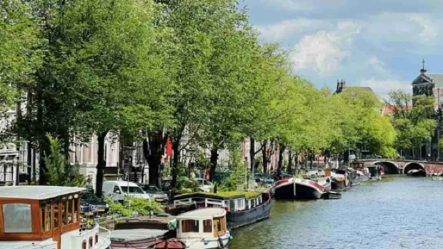 Amsterdam, Belanda: Penterjemah Profesional Cina-Belanda & Inggeris | Penterjemah Pameran | Teman Perniagaan | Pemandu Pelancong | Perancangan Perjalanan Tersuai