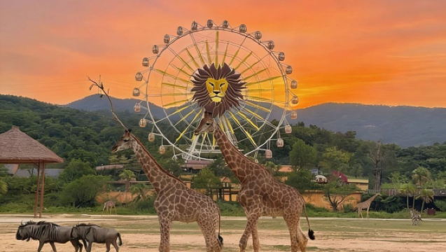 清遠長隆長頸鹿城堡2天1晚/3天2晚長隆森林王國暢玩套票可選溫泉樂園及自助餐含園內接駁車親子度假套