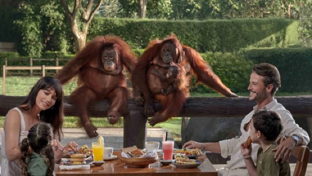 Bali Zoo Breakfast with Orangutan -  Up-Close Wildlife Dining Experience