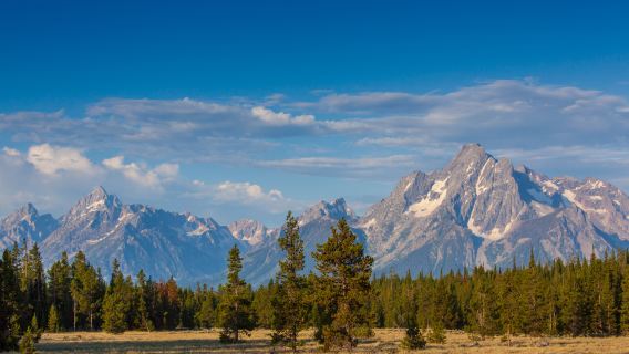 Salt Lake City, Amerika pergi-balik - Grand Teton - Taman Negara Yellowstone - Laluan Mendalam | Sewaan Peribadi Khas Bahasa Cina