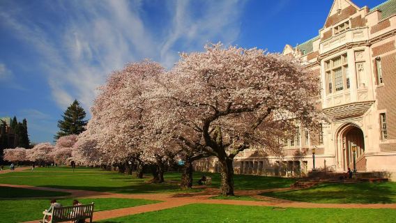 西雅圖包車親子遊:華盛頓大學+水上飛機+林地公園動物園+翠湖