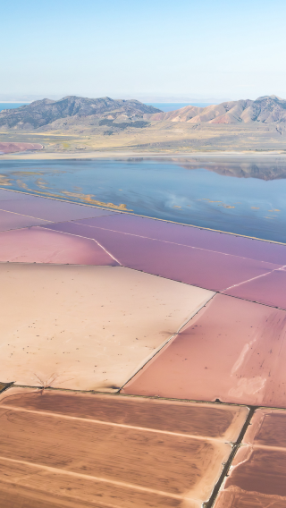 Temple Square + Great Salt Lake + This is the Place Heritage Park + Antelope Island State Park day tour