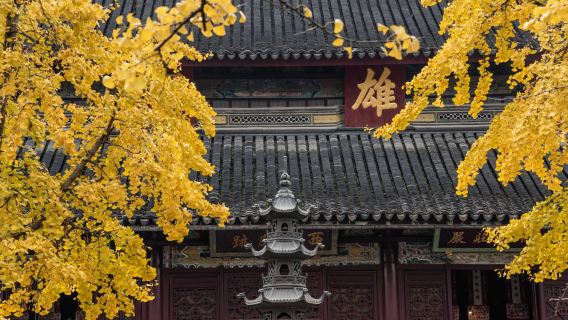 Shanghai tur-retur: Suzhou's Xiyuan Tempel + Canglang Pavilion + Pingjiang Vej privatbil dagstur - Justerbare seværdigheder