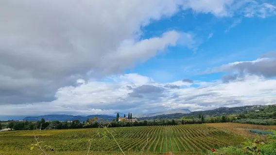 Lago de Garda: Cata de vinos + Tour por los viñedos de Bardolino
