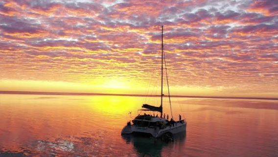 Sonnenuntergangs-Segelboot-Tour auf Hamilton Island, Australien [1,5-stündige Tour mit Getränken und Snacks]