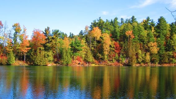 Kanada Ottawa + Lawatan Sehari Menikmati Daun Maple di Taman Negara Gatineau [Sewaan Peribadi Bahasa Cina Dengan Pengambilan Di Tempat]